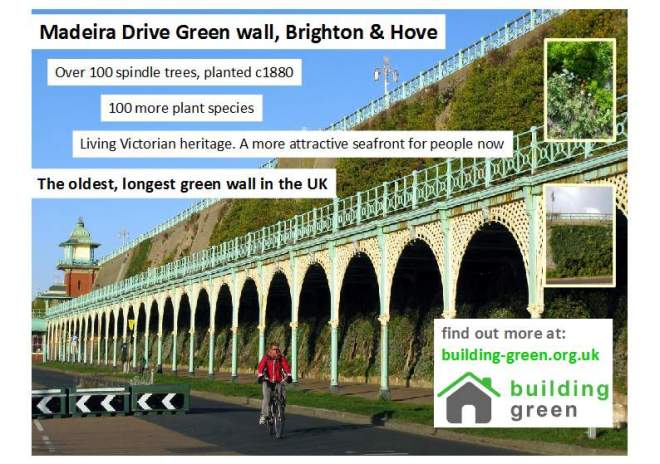 Madeira Drive A5 leaflet Building Green 1509
