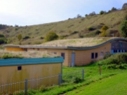 The 'chalk downland' green roofs of the Crew Club community centre, Whitehawk, Brighton
