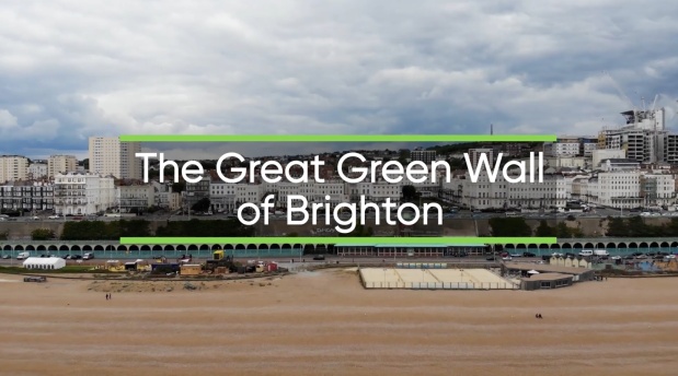 The Great Green Wall of Brighton – new film explores the role of nature in cities